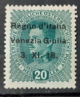 ITALIA VENEZIA GIULIA  1918  NUOVO MH* - Vénétie Julienne