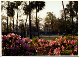 South Carolina Hilton Head Island Palmetto Dunes Resort Rod Laver Tennis Center - Hilton Head