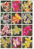 Orchideen Blumen Aufkleber / Orchid Flower Sticker A4 1 Bogen 27 X 18 Cm ST110 - Scrapbooking