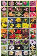 Orchideen Blumen Aufkleber / Orchid Flower Sticker A4 1 Bogen 27 X 18 Cm ST389 - Scrapbooking