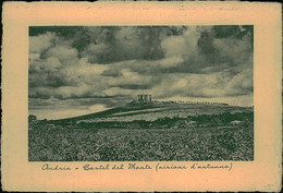 ANDRIA - CASTEL DEL MONTE - VISIONE D'AUTUNNO - FOTO MALGHERINI - 1950s (14506) - Andria