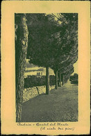 ANDRIA - CASTEL DEL MONTE - IL VIALE DEI PINI - FOTO MALGHERINI - 1950s (14509) - Andria