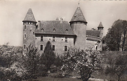 Virieu-sur-Bourbre. Le Vieux Château - Virieu