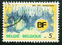 België - Belgique - C15/13 - (°)used - 1975 - Michel 1809 - 100j Davidsfonds - Oblitérés