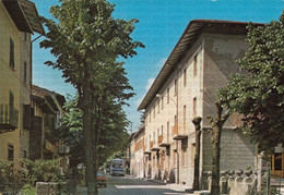 CARTOLINA  MONTEPIANO M.700,PRATO,TOSCANA-STAZIONE CLIMATICA ESTIVA-VIALE APPENNINO-STORIA,CULTURA,NON VIAGGIATA - Prato