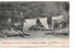 CP Bourg-Léopold Camp De Beverloo Leopoldsburg Chevaux Dressés De La Cavalerie 1904  Ed Désiré Gotthold - Leopoldsburg (Camp De Beverloo)