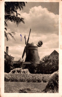 KORNEUBURG / MOULIN A VENT - WINDMÜHLE - Korneuburg