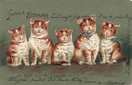 Animaux Déguisés - Chats Avec Un Noeud - Famille Schnurr - Relief - Précurseur -  - Carte Postale Ancienne - Dressed Animals