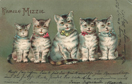 Animaux Déguisés - Chats Avec Un Noeud - Famille Mizzie - Relief - Précurseur - Dorure  - Carte Postale Ancienne - Animali Abbigliati