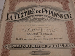 La Textile De Pepinster S.A. - Part Sociale Au Porteur - Pepinster 6 Juillet 1921. - Textiles