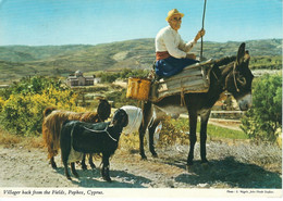 Cyprus, Villager Back From The Fields, Gelaufen 1973 - Chypre