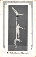 Cirque - The Wahlert Wonders Of Gymnastic - Edit. Der Artist - Carte Postale Ancienne - Cirque