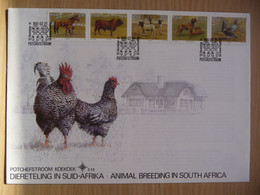 (8) South Africa RSA * FDC 1991 *Domestic Animals Farm, 5.13 BIG FDC. - Covers & Documents