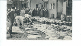 Oostende, Fischmarkt, Gelaufen 1962 (?) - Marchés