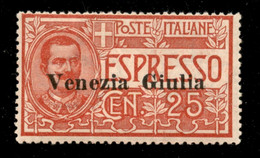 Occupazioni I Guerra Mondiale - Venezia Giulia - 1919 - 25 Cent (1) - Gomma Integra - Other & Unclassified