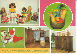 Schleusingen, Kreis Suhl, DDR, Naturhistorisches Museum Schloß Bertholdsburg, Nicht Gelaufen - Musées