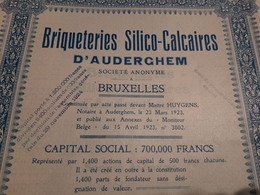 Briqueterie Silico-Calcaires D'Auderghem S.A. - Action De Capital De 500 Frs. Au Porteur - Auderghem 15 Avril 1923. - Industry