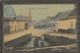 CPA Beauval  La Rue Du Bac   (Carte Toilée Colorisée) - Beauval