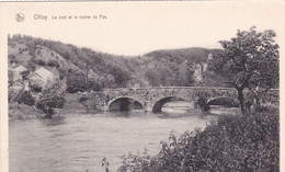 OLLOY  Le Pont Et Le ,rocherdu Pas - Viroinval
