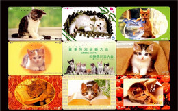 Japan Phonecard，Animal，cat，45 Pcs - Türkei