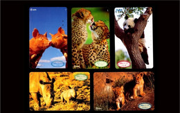 Japan Phonecard，Animal，panda Etc，5 Pcs - Türkei