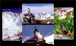 Japan Phonecard，Animal，bird，Thunderbirds，4 Pcs - Türkei