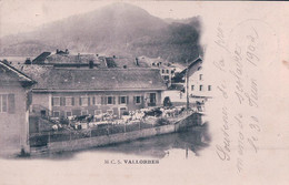 Vallorbe VD, Troupeau De Bétail Devant L'Hôtel De La Croix Fédérale (30.6.1902) - Orbe