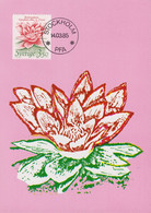 1985 Schweden, Mi: SE 1325 / Yt: SE 1307, Seerose, White Water-lily (nymphaea Alba Frosea) - Cartes-maximum (CM)