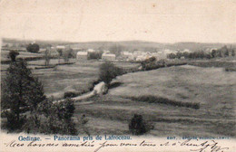 Gedinne  Panorama Pris De Lafroceau Voyagé En 1906 - Gedinne