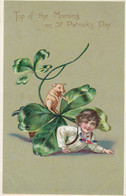 St. Patrick's Day, Boy With Pig, Top O' The Morning C1900s VintageTucks  Embossed Postcard - Saint-Patrick's Day
