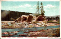 Yellowstone National Park Grotto Geyser Formation - USA Nationale Parken