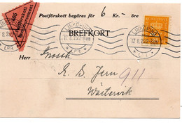 64109 - Schweden - 1925 - 35o. Krone EF A NN-Kte LINKOEPING -> Vaestervik - Lettres & Documents