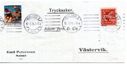 64115 - Schweden - 1924 - 5o. Loewe EF A DrucksFaltBf M Tbc-Marke MALMOE -> Vaestervik - Brieven En Documenten