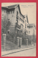 Watermael - Rue Du Pont ... Villas - 1909 ( Voir Verso ) - Watermaal-Bosvoorde - Watermael-Boitsfort