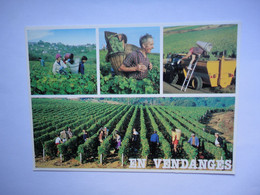 Delcampe - En Vendanges ( Vendangeurs ) - Bauern