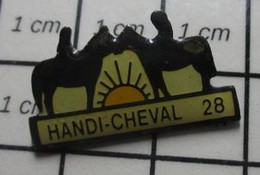 1222 Pin's Pins / Beau Et Rare / SPORTS / EQUITATION HANDI-CHEVAL 28 - Schwimmen