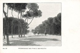 Liban - Beyrouth - Promenade Des Pins à Beyrouth - Précurseur - Animé - Cheval-  Carte Postale Ancienne - Libanon