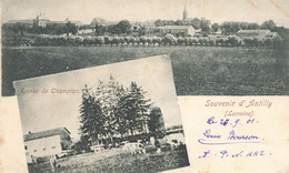 Souvenir D'antilly * 1901 * Gruss * Village Et Ruines De Champion * Antilly - Andere & Zonder Classificatie
