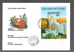 Ungarn 1980 Block 146 B UNGEZAHNT Vogel/Birds/Reiher Gebraucht Auf Illustrierte FDC - Lettres & Documents
