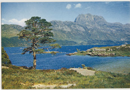 Loch Maree And Slioch, Wester Ross  - (Scotland) - Ross & Cromarty