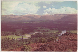 The Cairgorm Hills From Craigellachie, Aviemore - (Scotland) - Inverness-shire