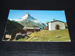 57936-              ZERMATT, FINDELEN MIT MATTERHORN - Matt