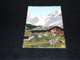 57942-              ALPHÜTTE BEI MÜRREN - Mürren