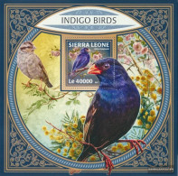 Sierra Leone Miniature Sheet 1360 (complete. Issue.) Unmounted Mint / Never Hinged 2017 Indigo-Birds - Sierra Leone (1961-...)