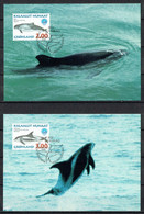 Greenland 1998.  Greenlandic Whales. Int. Ocean Year.. Michel 316y - 321y Maxi Cards. - Cartes-Maximum (CM)