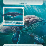 Sierra Leone Miniature Sheet 1247 (complete. Issue.) Unmounted Mint / Never Hinged 2017 Whales - Sierra Leone (1961-...)