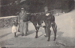 AGRICULTURE - Vieux Métier - En Ardenne - Eleveur Bovin - Vache - Grand Mère Et Petite Fille - Carte Postale Ancienne - Elevage