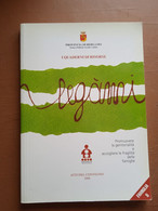 I Quaderni Di Risorse-Legàmi-Atti Del Convegno 2008-Famiglia 5-Prov. Di Bergamo - Società, Politica, Economia
