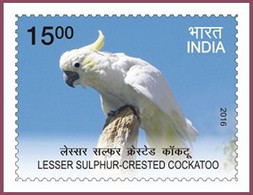 India 2016 Exotic Birds 1v Stamp MNH Macaw Parrot Amazon Crested, As Per Scan - Koekoeken En Toerako's