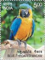 India 2016 Exotic Birds 1v Stamp MNH Macaw Parrot Amazon Crested, As Per Scan - Koekoeken En Toerako's